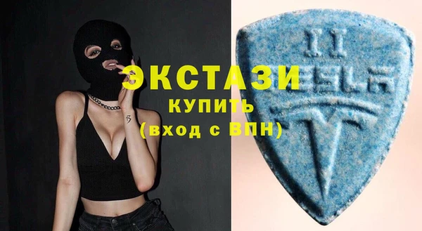 индика Сатка